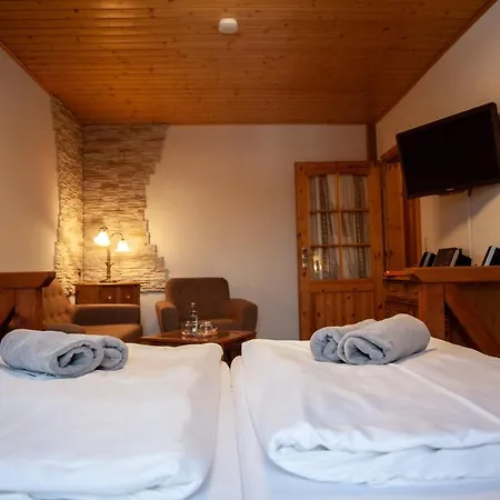 Naturhotel Baerenfels Altenberg (Krušné hory)