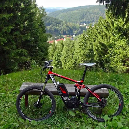 Hotel Naturhotel Bärenfels 3*