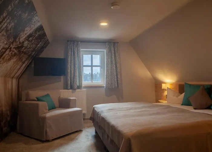 Naturhotel Gasthof Barenfels 3* Altenberg